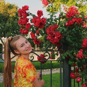 Meet your Posher, Harper